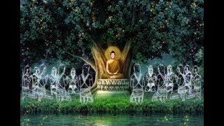 Buddha's life (English)