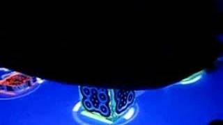 Reactable in Microwave