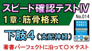 【スピード確認テストⅣ・14】下肢4（支配神経）【聞き流し】