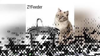 Stainless Steel Pet Water Feeder Cat Automatic Water Fountain USB Electric Mute for Cat Dog Filter F