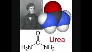 Urea, Thiourea, and the Beilstein Test