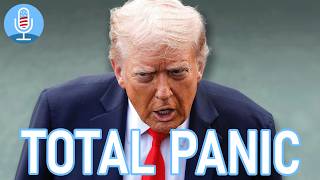 Epstein REVELATIONS EXPOSE What Trump was DESPERATE TO HIDE
