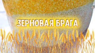 ЗЕРНОВАЯ БРАГА НА САМОГОН. Качественный и проверенный рецепт браги.