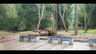 പഴശ്ശി പാർക്ക് | Pazhassi Park in Wayanad (Mananthavady)