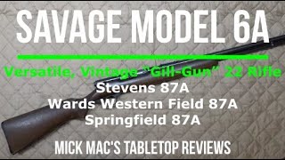 Savage Model 6A 22 Rifle Tabletop Review - Episode #202415