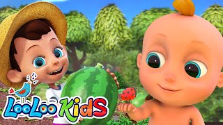 🍉Down By The Bay | Happy Kids Song | LooLoo KIDS Nursery Rhymes and Children's Songs