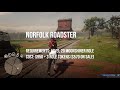 What is the BEST HORSE In Red Dead Online (Kladruber vs Breton vs Criollo vs Norfolk Roadster)