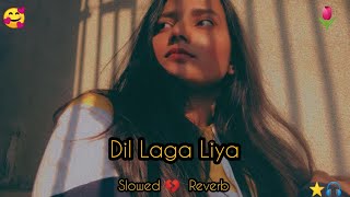 Dil Laga Liya || {Slowed + Reverb} || Dil Laga Liya Lo-fi || Night Sad Song #slowedandreverb#lofi