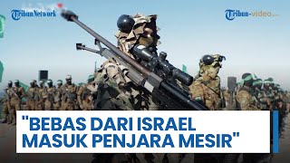 Update Rangkuman Perang Ke-486: Puluhan Anggota Hamas bak Masuk Penjara Mesir, Bebas tapi Diacuhkan?