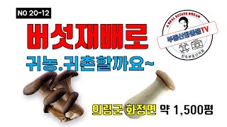 경남 의령군 화정면 버섯재배사 매매