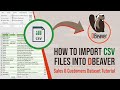 How to Import CSV Files into DBeaver | Sales & Customers Dataset Tutorial
