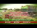 వేసవిలో పశుగ్రాసం కొరతను అధిగమించడం ఎలా.. hmtv agri