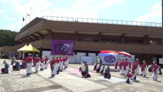 妃龍／Final Again／超熱いぜ！！関八連劇場／第33回彩夏祭・第23回関八州よさこいフェスタ2016（初日）