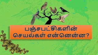 பஞ்சபட்சியின் தொழில்கள் என்ன? | பஞ்சபட்சி சாஸ்திரம் - பகுதி 4 | PanchaPatchi Sasthram Part 4