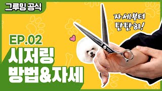 강아지미용 꿀팁 ! 애견가위 잡는 방법 배우고 다치지않는 애견미용해봐요! [그루밍 공식 EP.02]