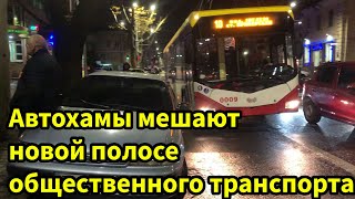 Автохамы мешают новой полосе общественного транспорта