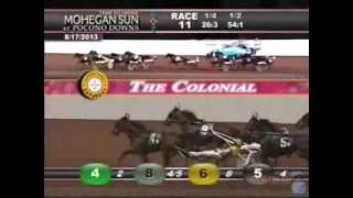 Colonial 3Y Trot 2013 -Spider Blue Chip