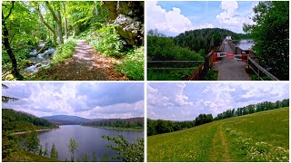 Diverse POV Hike Scenery for Your Workout - Harz National Park - Treadmill, Elliptical, Powerwalk