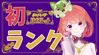 【ポケモンSV】初めてのランクマ🔰脳筋パーティーだけど勝てるよね？ｗ【新人Vtuber / ぽむじろー】