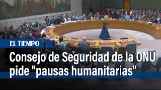 El Consejo de Seguridad de la ONU pide "pausas humanitarias" en Gaza | El Tiempo