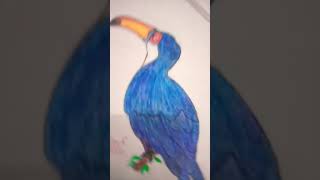#shorts 🐦 Toucan bird #drawing #oilpester #viralshorts #youtubeviralshorts @larics.lofi.123