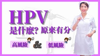 第二集 HPV是什麼? 原來有分高風險和低風險的HPV🤷?