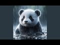 Panda Splashdown