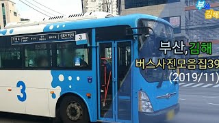 (부산,김해)버스사진모음집39