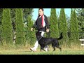 Kraftwerk K9 German Shepherds - Fast and accurate!