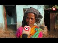 kandhamal a couple to be daily labourers are now successful goat farmers