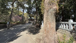 静岡県静岡市清水区三保【御穂神社〜三保の松原】わがまちには癒しがある🌊