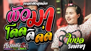 เบสแน่นจุกตับ !! ผัวมา l โดดดิโด่ง l ใบปอ รัตติยา VS รถแห่ ทีมออดิโอ No 1