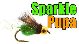 Sparkle Pupa Fly Tying - Gary LaFontaine Fly Pattern