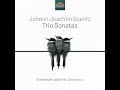 trio sonata in g minor qv 2 34 i. grave