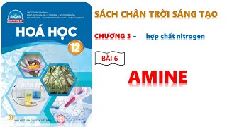 HÓA 12 - CHÂN TRỜI SÁNG TẠO - BÀI 6  AMINE