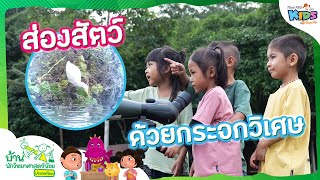 ส่องสัตว์ด้วยกระจกวิเศษ | บ้านนักวิทยาศาสตร์น้อย