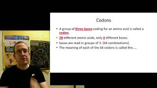 A Level Biology: DNA to Proteins - 1. DNA Genes and the triplet code