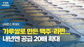 가루쌀로 만든 맥주·라면...내년엔 공급 20배 확대 / YTN 사이언스