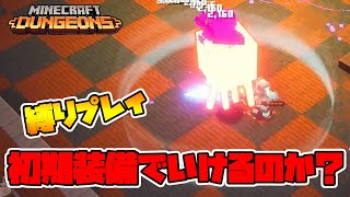 最新タワー縛りプレイ！初期装備で全階クリアできるのか！？【マイクラダンジョンズ】【naotin】