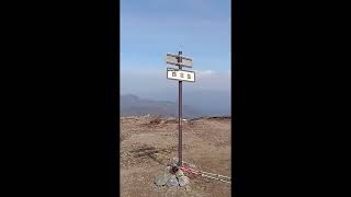 超可憐福寿草鈴北岳、御池岳、鈴ヶ岳の山旅日記