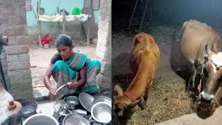 Evening Routin Video / எனது தினசரி மாலை வேலைகள்