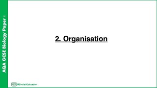 AQA GCSE Biology Topic 2: Organisation – Full Revision & Key Notes