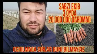 Savzi ekib 3 oyda 20 000 000 daromad sirlar ochildi