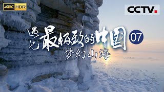 《遇见最极致的中国》EP07 中国最北的海域 黄河的归宿地！看候鸟大军如何在黄河口创造生命新奇观——梦幻山海（4K）【CCTV纪录】