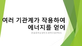 여러 기관계가 작용하여 에너지를 얻어