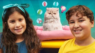 MARIA CLARA E JP GANHAM UM GATINHO 🐱