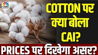 Cotton Price Today: कॉटन पर मंडरा रहा संकट, बेमौसम बारिश से फसलों को हुआ नुकसान? | CAI | Commodity