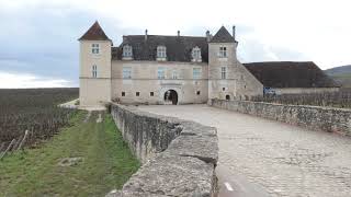 Vineyards in Burgundy in France - Château du Clos Vougeot