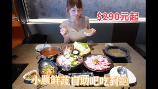 【珊莎吃美食】論石間鍋物國美店│任選數十種美味湯底│海鮮拚盤10種海鮮超澎派│只要290元起小農蔬菜鍋料無限吃#Shorts