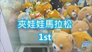 [Ace 夾娃娃] #227 夾娃娃馬拉松,1st !!(claw machine,クレーンゲーム)